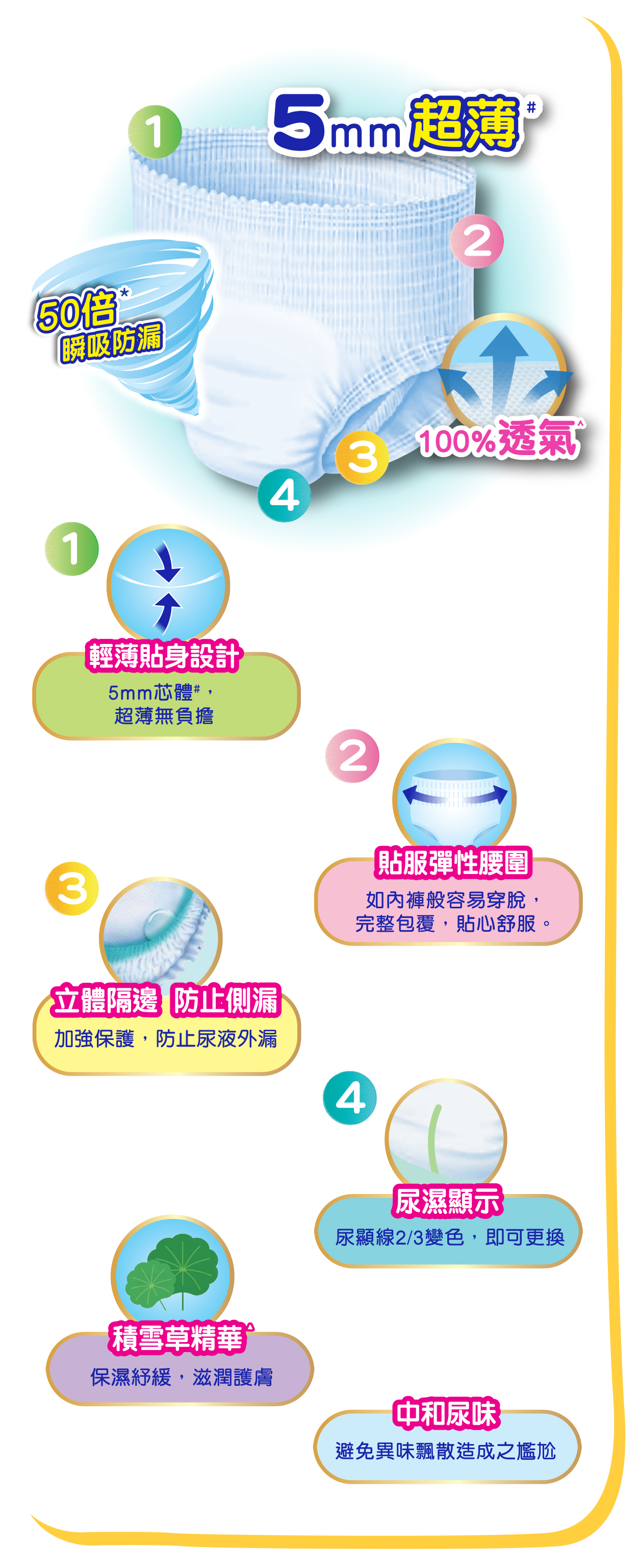 light pants diagram